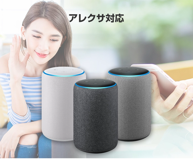 アレクサ対応